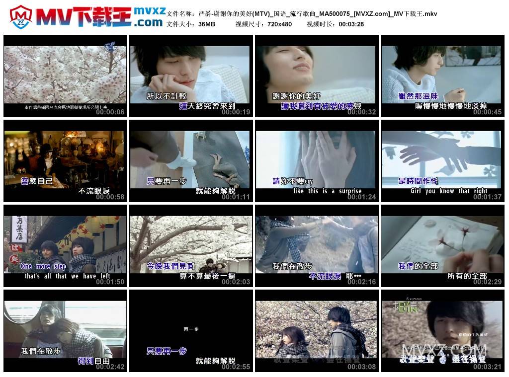 严爵-谢谢你的美好(MTV)_国语_流行歌曲_MA500075